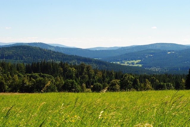 vranov nad dyjí