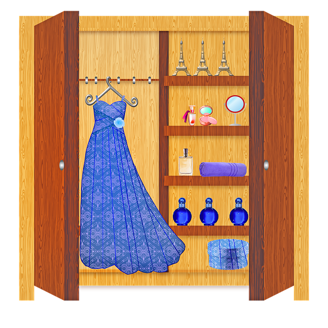 womens-closet-4812648_640